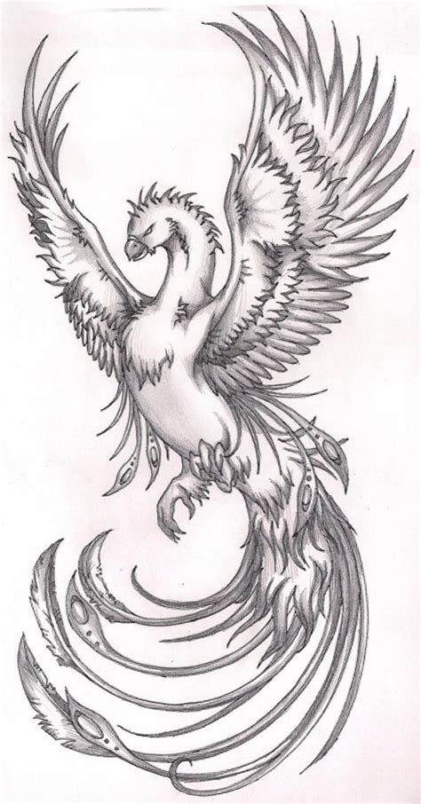 phoenix tattoos phoenix bird tattoos phoenix tattoo design phoenix