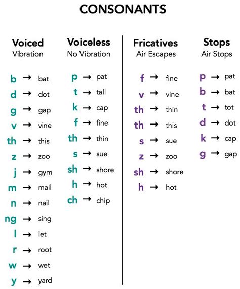 touch  english voiceless  voiced consonants chart phonics rules speech language