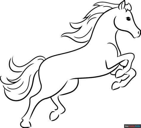 incredible compilation  full  horse drawing images
