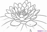 Lily Flower Drawing Line Pad Getdrawings sketch template
