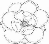 Coloring Flower Pages Flowers Large Magnolia Kids Outline Drawing Color Colouring Printable Tattoo Drawings Sheets Books Rose Real Print Life sketch template