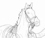 Horse Lineart Coloring Pages Racehorse Drawing Dressage Deviantart Line Bridle Thoroughbred Horses Drawings Race Printable Head Knight Thor Sketch Outline sketch template