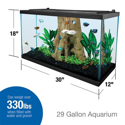 tetra glass aquarium kit  gallon lupongovph