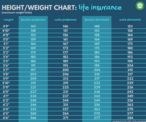 Life Insurance For Overweight Obese People Bmi Rates