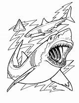 Shark Coloring Pages Printable Sharks Print Jaws Megalodon Kids Color Tiger Cartoon Great Evolution Book Scary Template Drawing Hungry Ocean sketch template