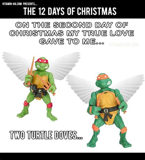 Funny 12 Days Of Christmas 12 Days Of Christmas Christmas Humor