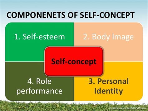 components     concept selfconcept
