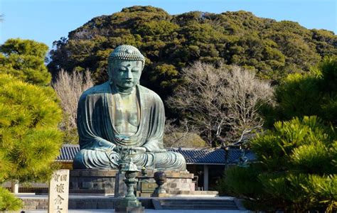 Kotokuin Temple Daibutsu Official Visitor Guide Visit Kamakura