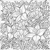 Coloring Pages Adults Calming Printable Getdrawings sketch template
