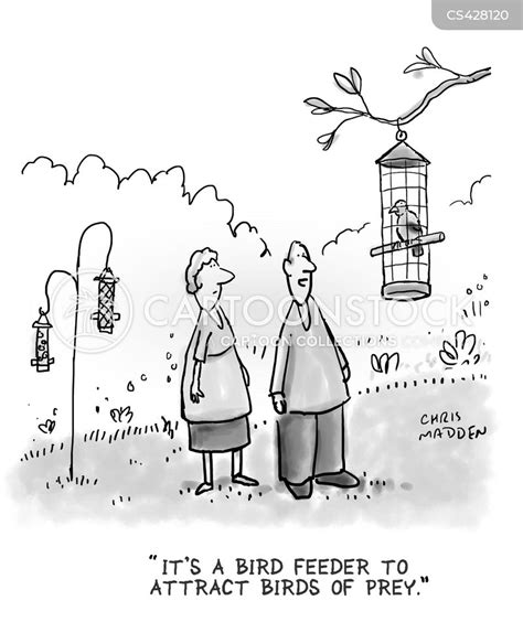 bird feeder cartoons and comics funny pictures from