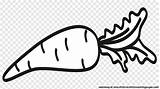 Vegetables Carrots Cucumber Wortel Putih Peas Hitam Pea Veggies Pinclipart Clipground Pickles Leafy Webstockreview Clipartkey Pngitem Auglis Pngkey 745kb Sayuran sketch template