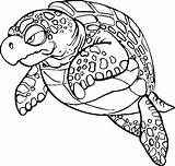 Schildpadden Kleurplaten Schildpad Tortoise Mewarnai Kura Dieren Tortugas Marinas Penyu Turtle Animasi Coloring4free Tortue Tortuga Schildkrote Bergerak Menta Turtoise Animaatjes sketch template