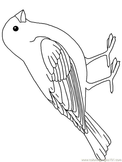 printable bird coloring pages  coloring sheets animal coloring