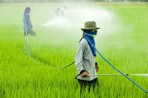 learn  pesticides     organic farming