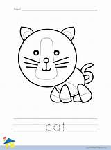 Cat Worksheet Coloring Flashcard Worksheets Animal Learning Pages Animals Thelearningsite Info Bear sketch template