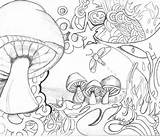 Coloring Pages Mushroom Psychedelic Printable Trippy Wonderland Alice Adults Adult Drawing Mushrooms Toadstool Colouring Books Kodak Getcolorings Resultado Imagem Getdrawings sketch template