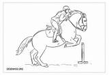 Colorir Cavalo Cavalos sketch template