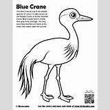 Crane Birdorable Siberian Designlooter sketch template