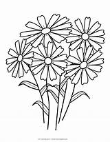 Fiori Bouquet Stampare Sagome Colorir Petals Leaves Pattern Desenhos Worksheet sketch template