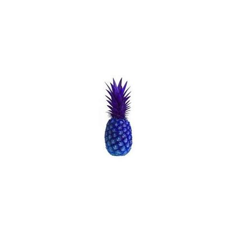 blue pineapple edited  calypso polyvore pineapple calypso blue