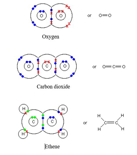 double covalent bond facts definition history examples