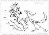 Coyote Wile Looney Colorat Tunes Roadrunner Desene Animate Struś Wilk Ptak Kanarek Rysunek Planse Druku Multe Inapoi Printable sketch template