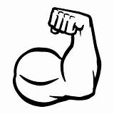 Biceps Flex sketch template