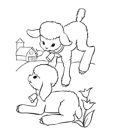 easter lamb coloring page   baby lambs   farm