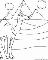 Desert Camel Coloring Egyptian Drawing Pages Kids Getdrawings sketch template