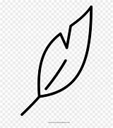 Pena Feather Pinclipart Ultracoloringpages sketch template
