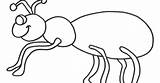 Hormiga Hormigas Pintar Formiga Fourmi Ants Owady Robaki Kolorowanki Fofinha Coloriage Animaux للتلوين نمله Serangga صوره Dla Colorier sketch template