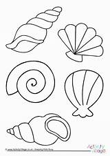 Seashell Seashells Activityvillage Starfish Printables sketch template