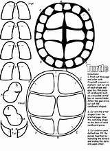 Turtle Coloring Pages Ninja Turtles Shell Crayola Printable Cut Color Craft Party Print Template Sheets Animal Colouring Tmnt Head Pieces sketch template