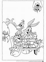 Coloring Pages Show Colouring Looney Tunes Roberta Cleveland Template sketch template