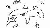 Shark Coloring Mako Pages Getdrawings sketch template