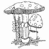 Fungus sketch template