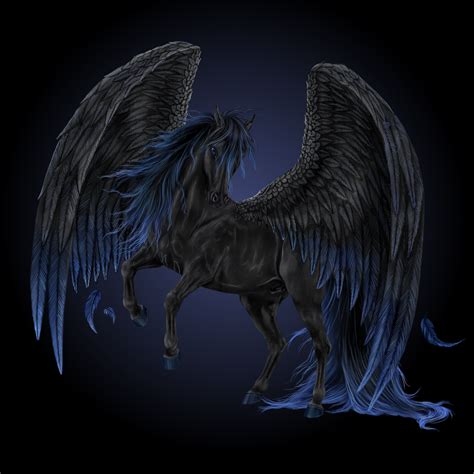 black pegasus  howrseprofile  deviantart