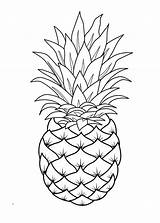 Pineapple Coloring Pages Line Fruit Template Drawings Printable Drawing Easy Pinapple Cute Fruits Sheets Print Adult Choose Board sketch template