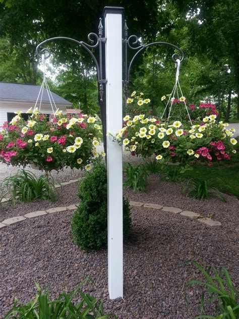 pin  silvia hernandez  ideas hanging plants outdoor