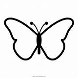 Borboleta Colorir Borboletas Desenhar Monarch Papillon Schmetterling sketch template
