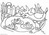Pond Coloring Pages Life Printable Kids Adults sketch template
