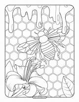 Abeille Miel Mariposas Hive Erwachsene Insekten Schmetterlinge Insectos Ruche Farfalle Insetti Adultos Malbuch Adulti Insectes Justcolor Insects Colmeia Biene Honig sketch template