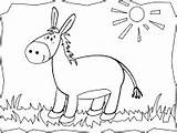 Mula Burro Asno Granja Finca Rancho Donkey Varios sketch template