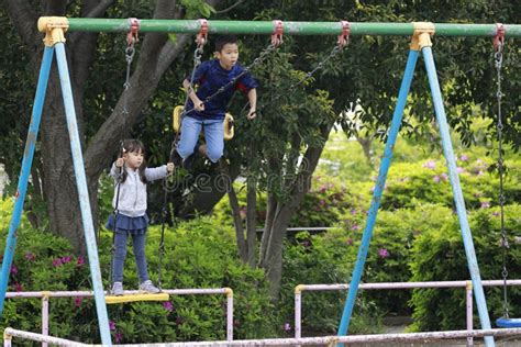 japanese brother and sister on the swing stock image image of people
