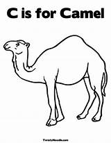Camel Coloring Pages Sally Desert Template Kids Library Clipart sketch template