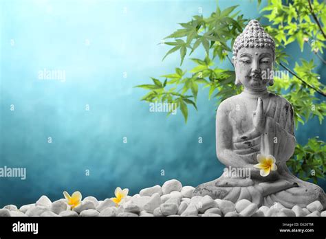 buddha  meditation  zen stones  flower stock photo alamy