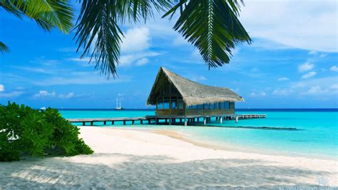 mind  bahamas nightlife rtw backpackers