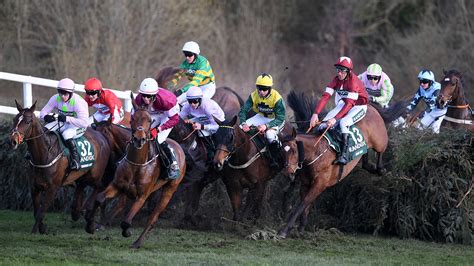 win   grand national    experts horse hound