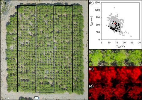 indice de vegetation ndvi drones imaging