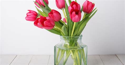 How To Grow Tulip Bulbs In A Vase Homes To Love